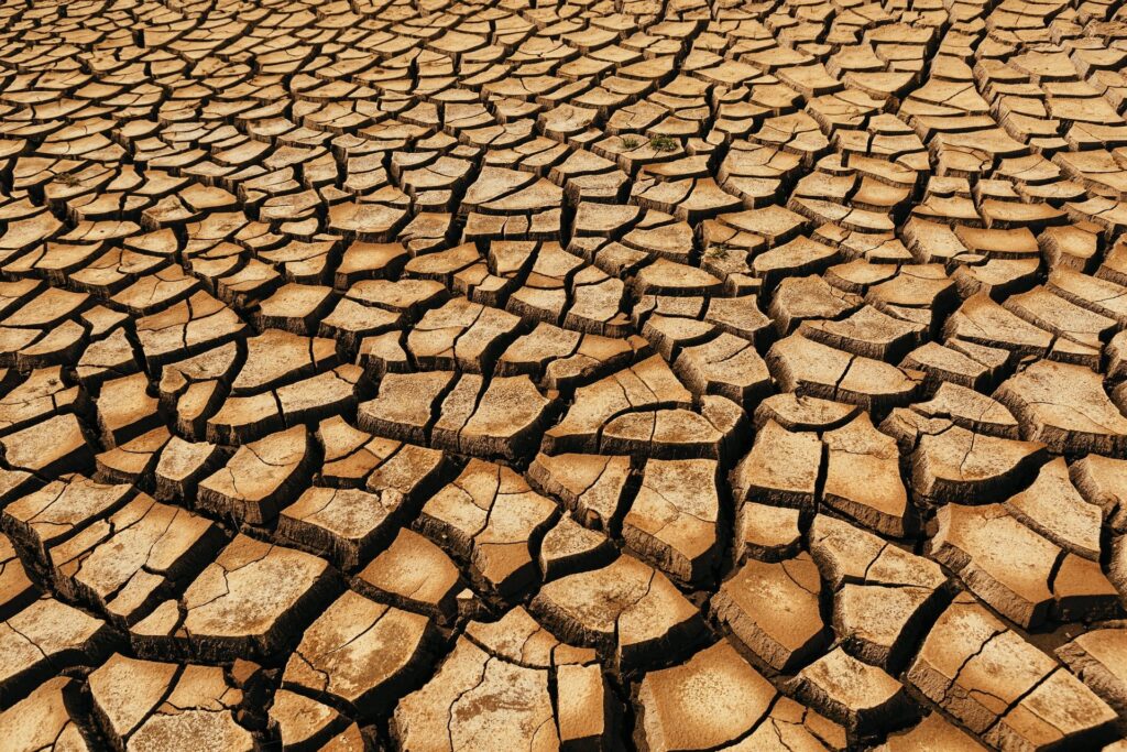 liked dried out soil, concrete can also crack from excess dry heat