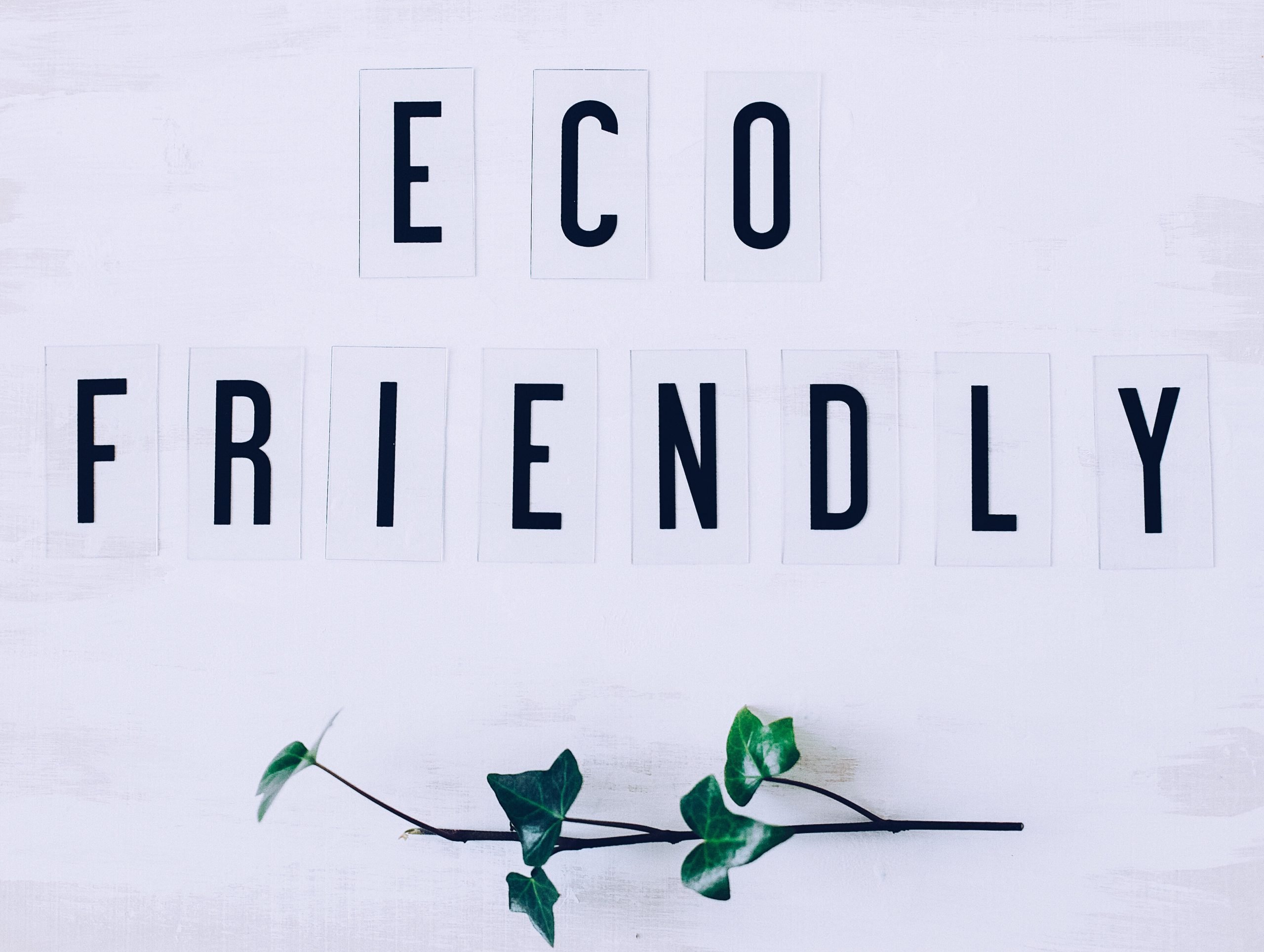 eco friendly RTT6HZC scaled 1