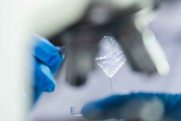 researcher working in laboratory for medicals science research using scientific equipment technology