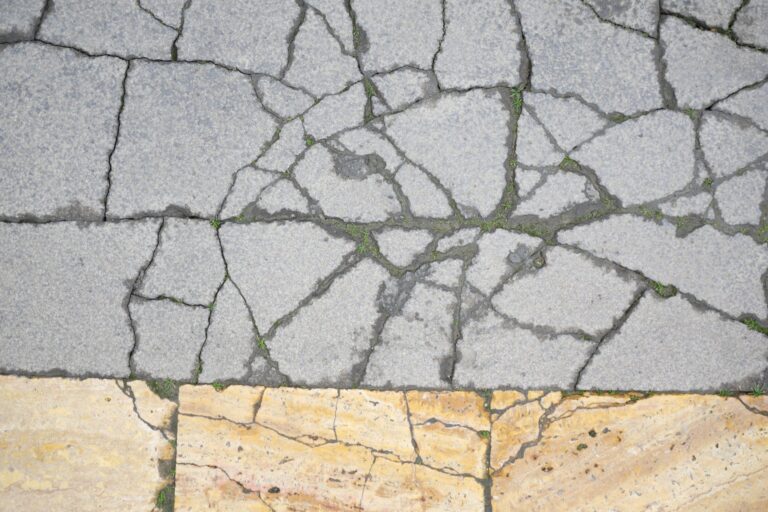 Cracked pavement reveals textures and colors in outdoor setting