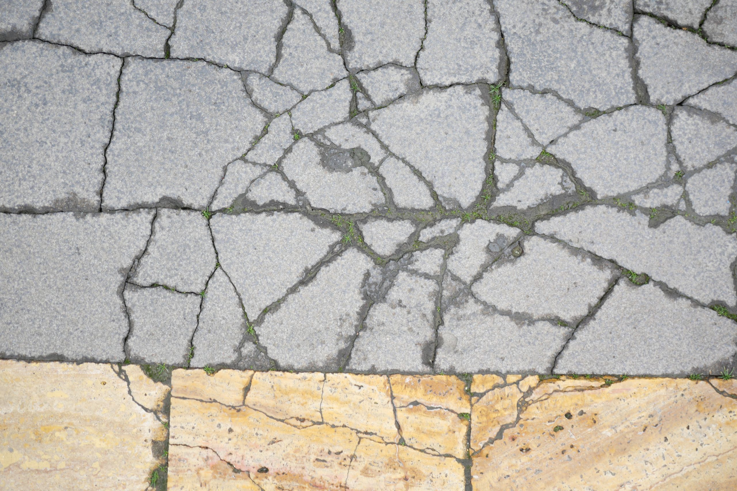 Cracked pavement reveals textures and colors in outdoor setting