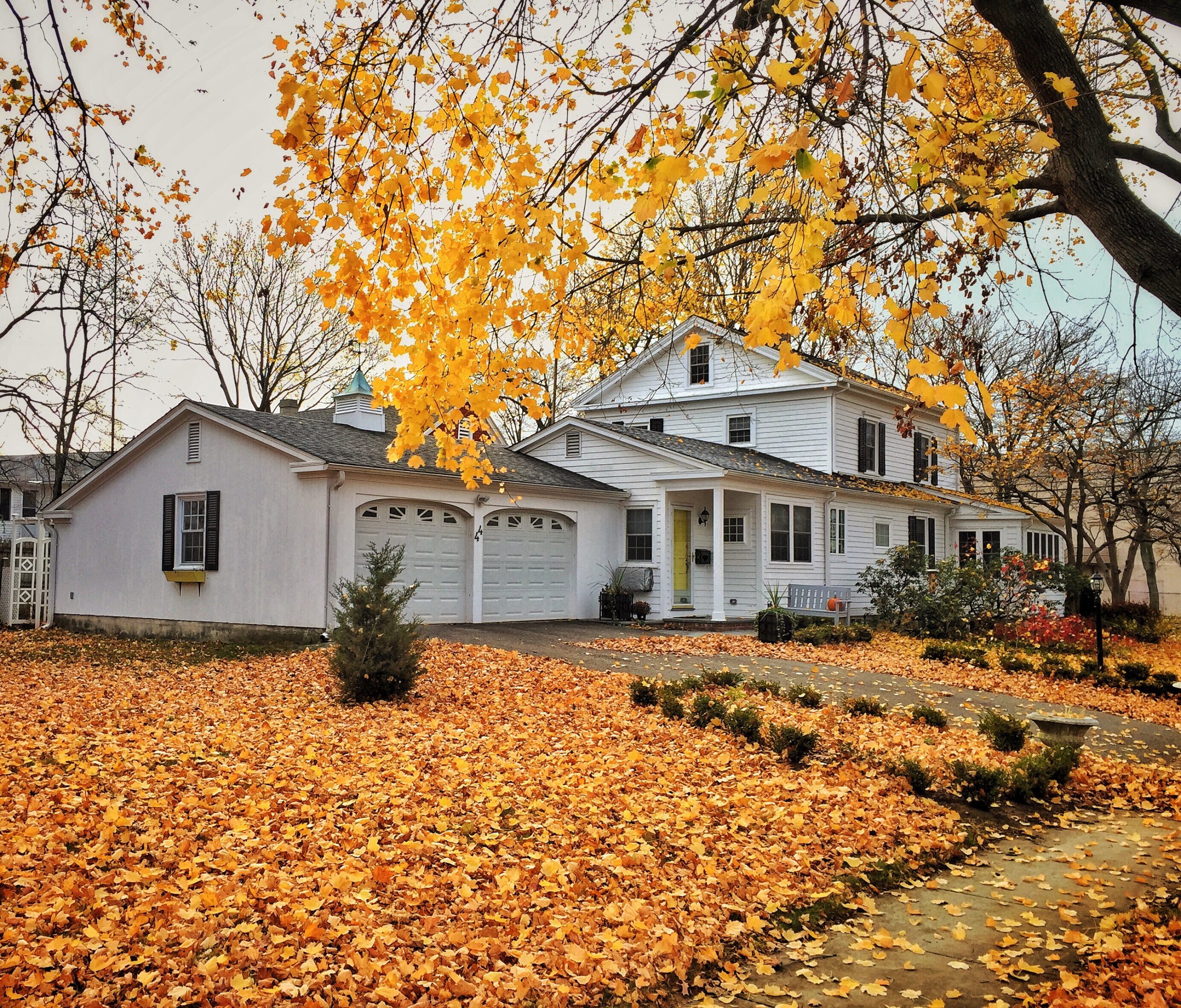 real estate autumn home nominated 2025 03 08 08 39 09 utc