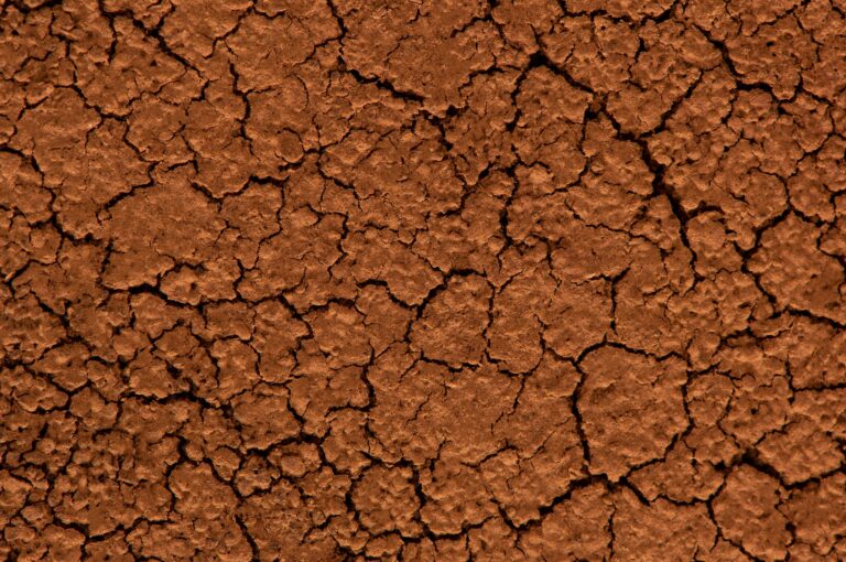 Brown Dried Cracked ground close up. Grunge background. Drought.