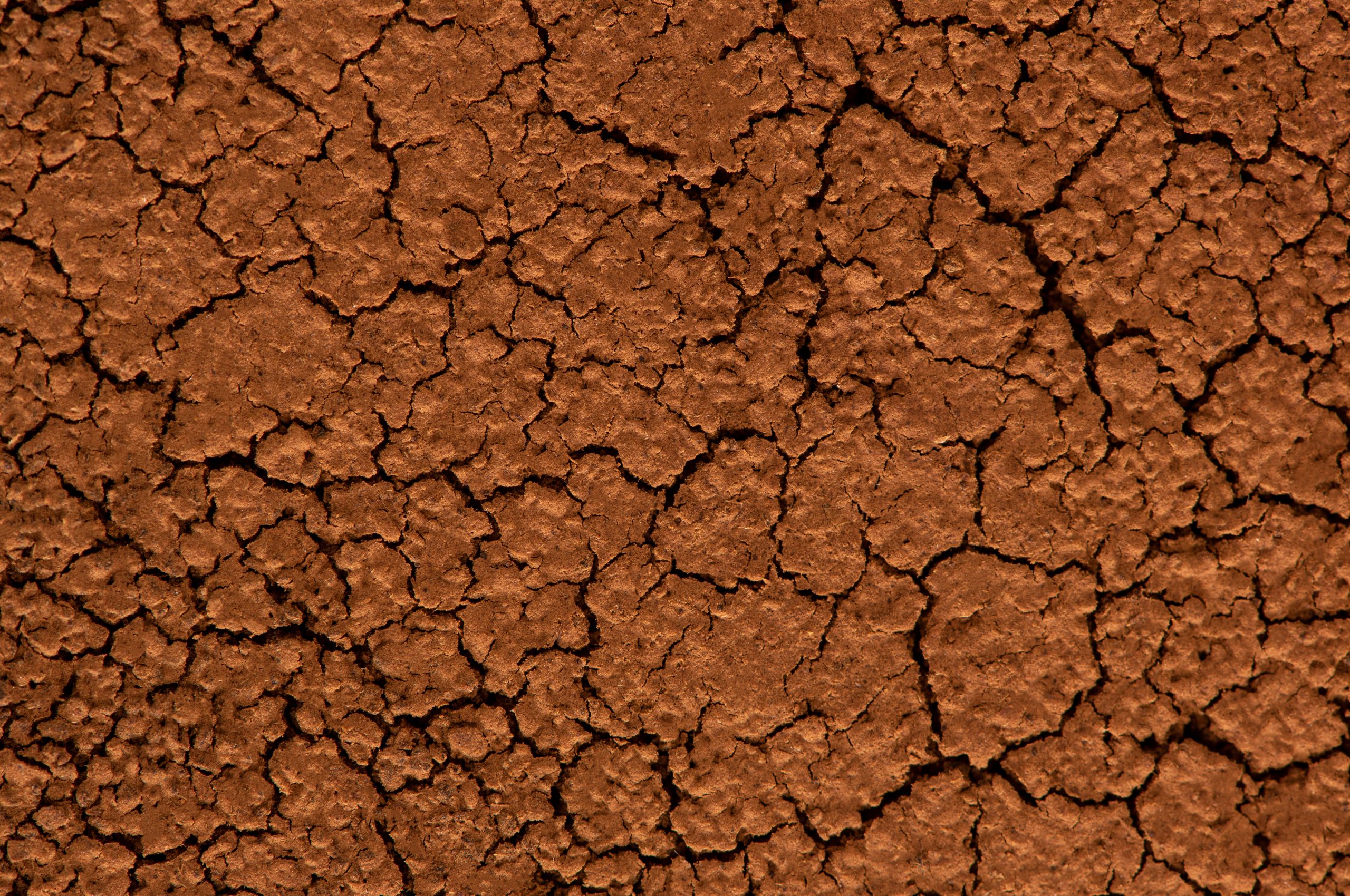 Brown Dried Cracked ground close up. Grunge background. Drought.