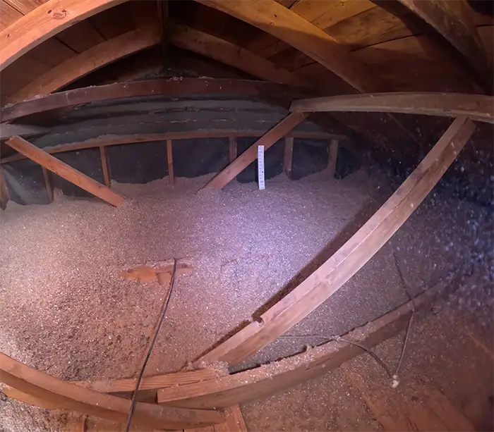 Insulation Removal Services